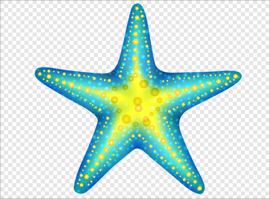 تصویر دوربری شده ستاره دریایی بصورت گرافیکی با فرمت png