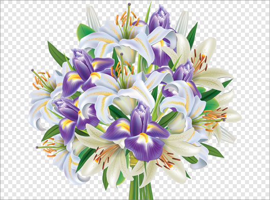 فایل png دوربری شده دسته گل های زیبای لیلیوم