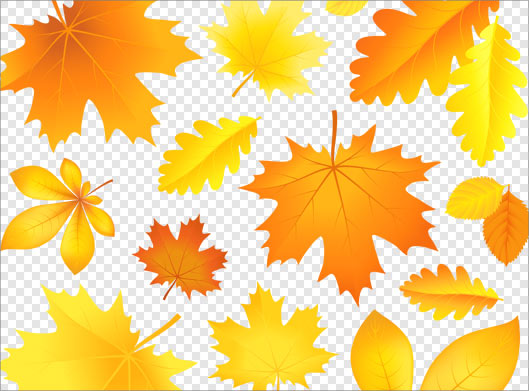 فایل png دوربری شده مجموعه برگ های زرد پاییزی
