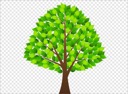 فایل ترانسپرنت دوربری شده درخت سبز با فرمت png