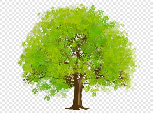 تصویر دوربری شده درخت سبز با فرمت png
