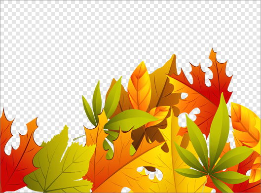 دانلود فایل png برگهای زیبای پاییزی بصورت دوربری شده