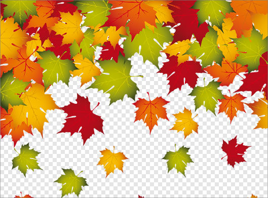 فایل png مجموعه برگ های پاییزی درخت چنار