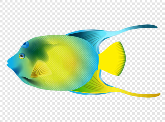فایل png دوربری شده ماهی رنگی دم دراز بصورت ترانسپرنت