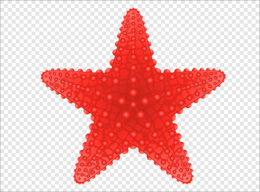 فایل png ستاره دریایی قرمز رنگ بصورت ترانسپرنت