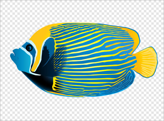 فایل png دوربری شده ماهی رنگی زیبا (بدون بکگراند)