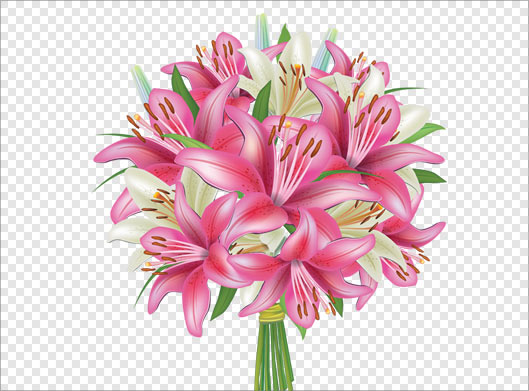 فایل png دوربری شده دسته گلهای لیلیوم صورتی
