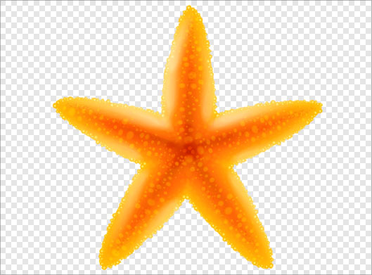 فایل png دوربری شده ستاره دریایی بصورت ترانسپرنت