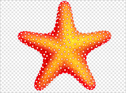 دانلود فایل png دوربری شده ستاره دریایی نارنجی