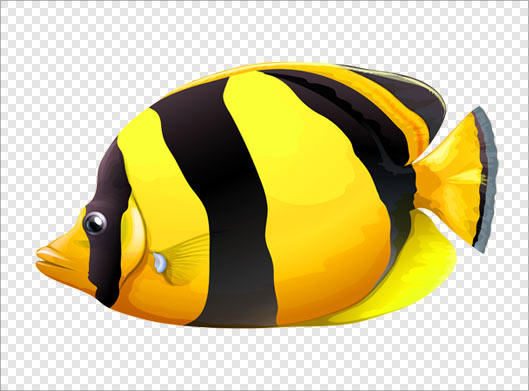 فایل Png دوربری شده ماهی زرد رنگ گرافیکی