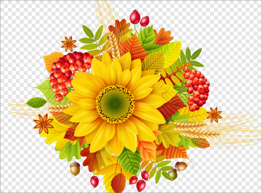 دانلود فایل png دوربری شده گل آفتابگردان و گلهای متنوع