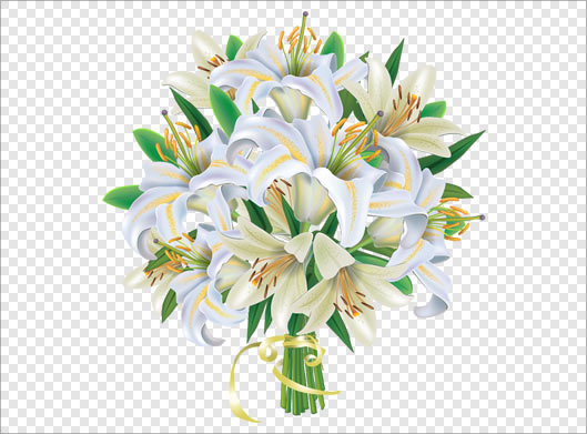 فایل png دسته گل های زیبای لیلیوم سفید
