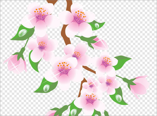 فایل png دوربری شده شکوفه های صورتی رنگ بهاری