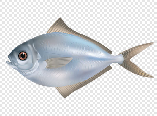 فایل png دوربری شده ماهی بصورت گرافیکی و بدون زمینه