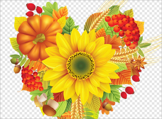 تصویر دوربری شده و ترانسپرنت گل آفتابگردان و میوه های مختلف