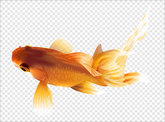 فایل png گلدفیش با ماهی طلایی قرمز شب عید
