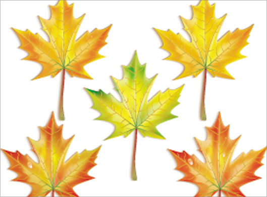 دانلود وکتور برگ های پاییزی زرد با پسوندهای eps و ai