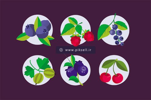 وکتور مجموعه آیکونهای دایره ای میوه های مختلف