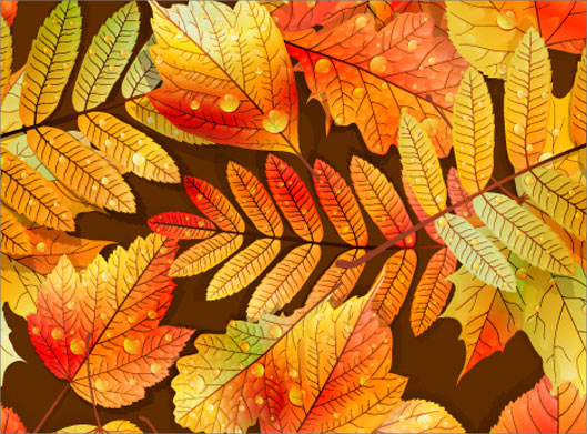 دانلود وکتور با طرح پترن برگهای زیبای پاییزی