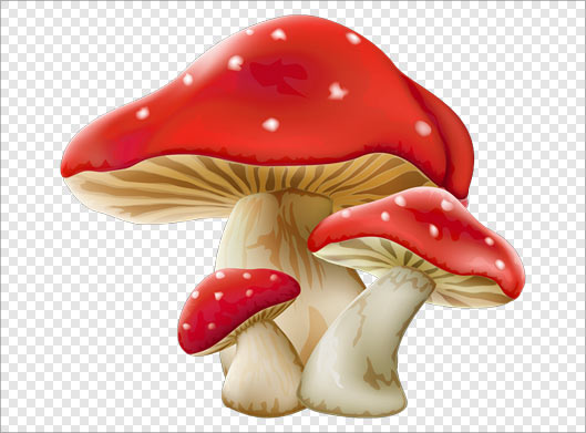 فایل png قارچ های کارتونی بصورت ترانسپرنت
