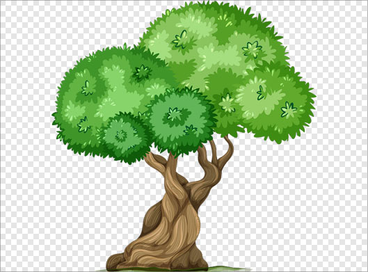 دانلود فایل png دوربری شده درخت سبز بصورت ترانسپرنت