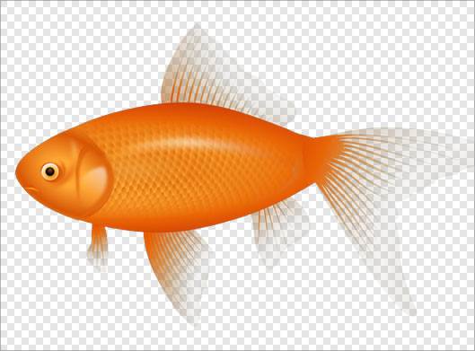 دانلود فایل png ماهی نارنجی بصورت دوربری شده