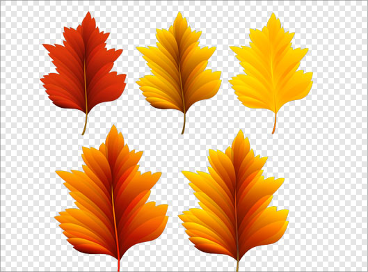 دانلود فایل png برگهای زرد و نارنجی پاییزی