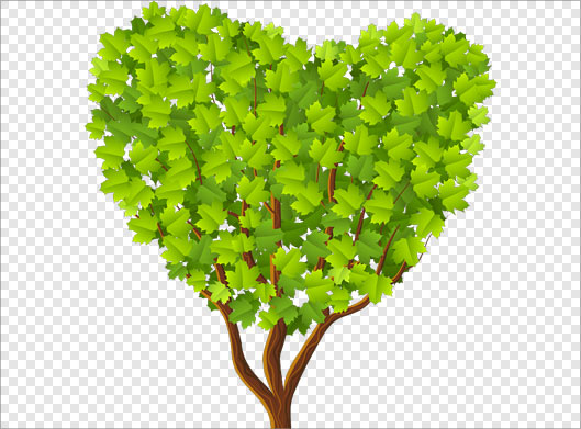 دانلود فایل png درخت سبز بصورت ترانسپرنت