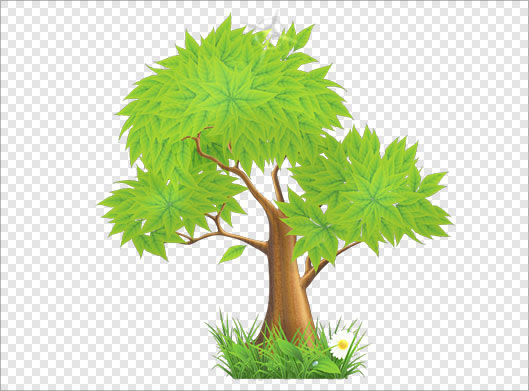 دانلود فایل png درخت سبز بصورت دوربری شده
