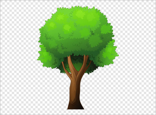 فایل png بدون زمینه درخت سبز رنگ