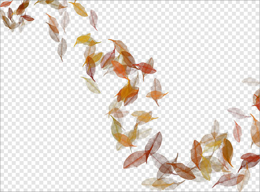 فایل دوربری شده برگ های پاییزی در باد با فرمت png