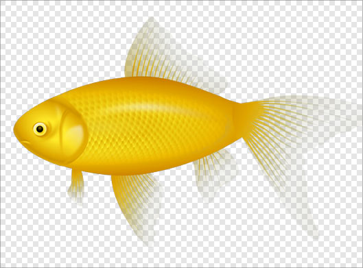 فایل دوربری شده ماهی طلایی زرد بصورت ترانسپرنت