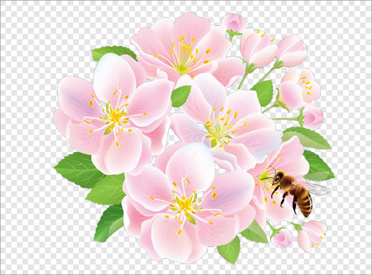 دانلود فایل PNG بدون زمینه شکوفه های بهاری و زنبور عسل