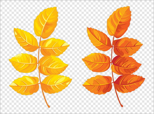فایل png برگ های پاییزی بصورت ترانسپرنت