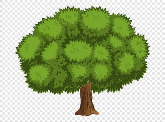 فایل دوربری شده درخت سبز زیبا با پسوند png