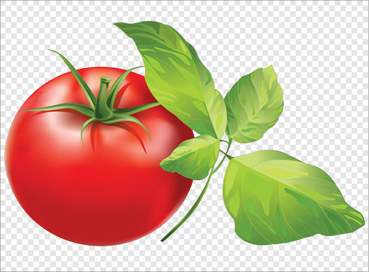 دانلود فایل png ریحون و گوجه قرمز بصورت دوربری شده