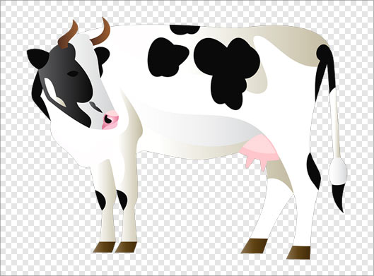 فایل png گاو خالخالی شیر ده بصورت ترانسپرنت
