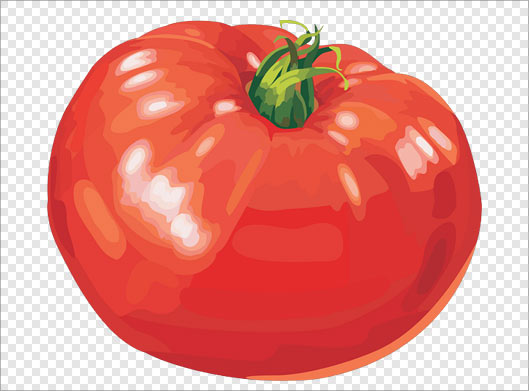 فایل png دوربری شده گوجه قرمز رنگ