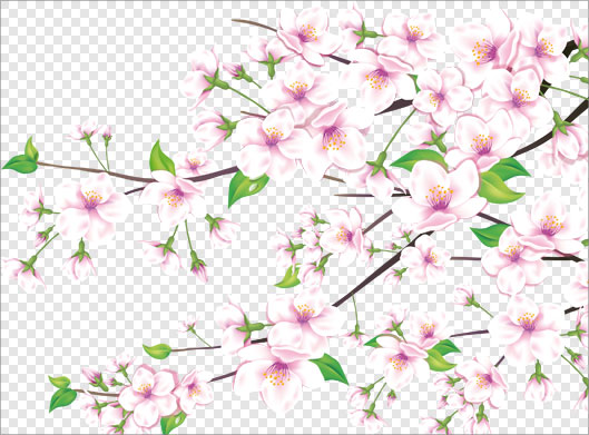 دانلود فایل png شاخه ها با شکوفه های بهاری صورتی