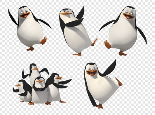 فایل ترانسپرنت دوربری شده کاراکترهای کارتونی پنگوئن های ماداگاسکار با فرمت png