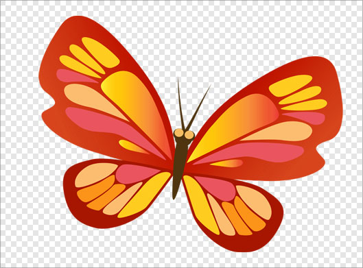 فایل ترانسپرنت دوربری شده پروانه رنگی با فرمت png