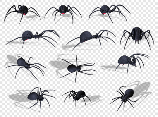 فایل دوربری شده و ترانسپرنت شیطان و عنکبوت های مختلف سیاه با فرمت png