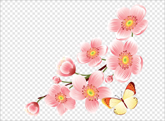 فایل دوربری شده و ترانسپرنت گلهای صورتی بهاری (شکوفه) و پروانه با فرمت png