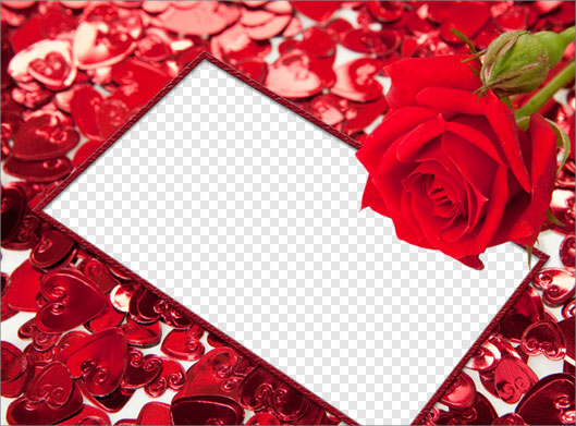 فایل png ترانسپرنت و دوربری شده فریم و قاب با طرح گلهای رز و گلبرگهای رز قرمز