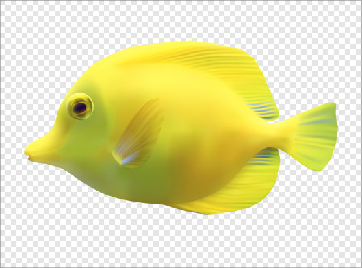 فایل دوربری شده و ترانسپرنت ماهی زرد با پسوند png