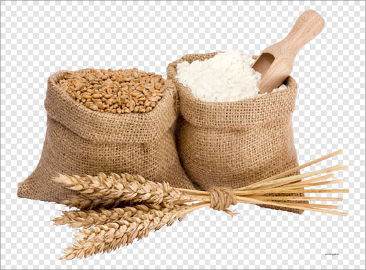 تصویر دوربری شده با طرح گونی های آرد و گندم و خوشه های طلایی گندم با فرمت png