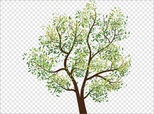دانلود تصویر ترانسپرنت و دوربری شده درخت سبز با فرمت png