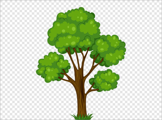 دانلود تصویر دوربری شده و ترانسپرنت درخت سبز با پسوند png