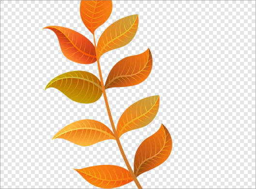 فایل دوربری شده و ترانسپرنت شاخه با برگهای نارنجی پاییزی با پسوند png