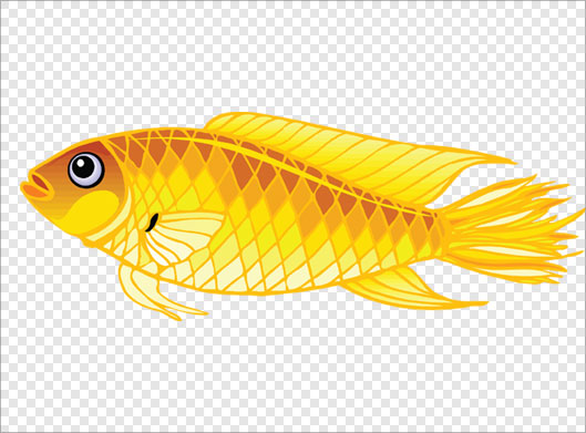 فایل دوربری شده و ترانسپرنت ماهی زرد کارتونی با فرمت png